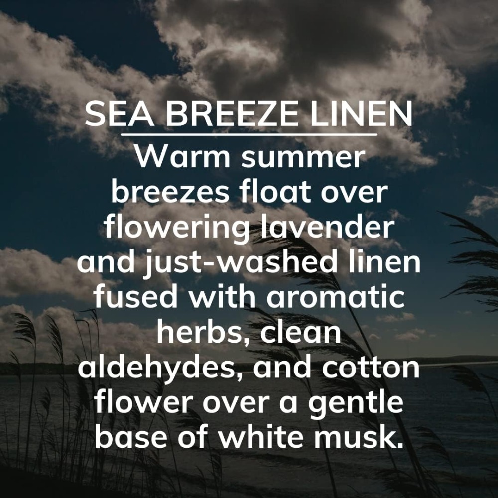 Long-Lasting Solid Odor Elimin - огляд і ціна Home Fragrance Linen
